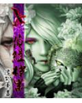 荣耀系统之全职高手